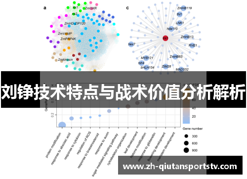 刘铮技术特点与战术价值分析解析